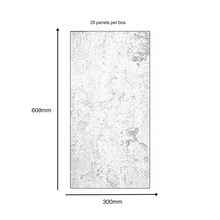 Load image into Gallery viewer, Fortis Floor Elementary LVT Stone Effect - 609 x 304 - 3.7 sqm